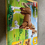 фото от rachaelt63_6181