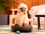 52toys 25CB111SDM QueSera - iRobocat, фото 3