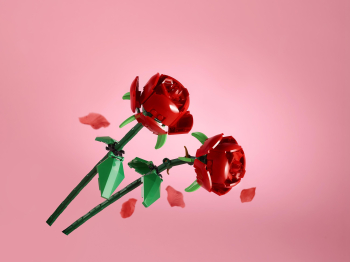 Сувенирный набор Розы