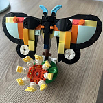 фото от MissDecisiveCucumber101