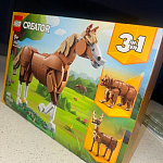 фото от anaseabra_381