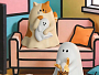 52toys 26CB652YL01 Ghody - Behold My Cat, фото 10