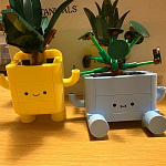 фото от samanthabox_464