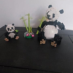 фото от InspectorBoldToucan