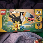 фото от bambrino_9220