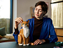 Конструкторы LEGO Ideas 21376 Оранжевый кот, фото 14