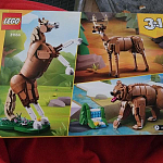 фото от emilyc1d12_6935