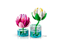 Конструкторы LEGO Botanicals 11511 Водяные лилии, фото 6