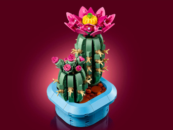 Конструктор Цветущий кактус