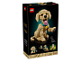 Конструкторы LEGO Icons 11384 Щенок золотистого ретривера, фото 3