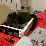 фото от Саша