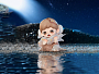 TNT Space CZ-C662-C662001 Zoraa - Starry River in Memories, фото 15