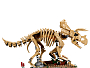 Конструкторы LEGO Jurassic World™ 77985 Окаменелости динозавров: Трицератопс, фото 12