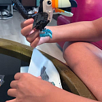 фото от joannau2_9186