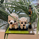 1510576