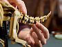 Конструкторы LEGO Jurassic World™ 77985 Окаменелости динозавров: Трицератопс, фото 3