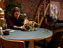 Конструкторы LEGO Jurassic World™ 77985 Окаменелости динозавров: Трицератопс, фото 16