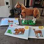 фото от emilyc1d12_6935