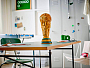 Конструкторы LEGO Ideas 43020 Кубок Мира FIFA, фото 9