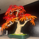 фото от BaffledBucket053