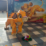 фото от Debbie