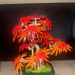 фото от BaffledBucket053