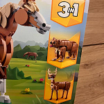 фото от inas25_265