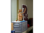 Конструкторы LEGO Ideas 21370 Инопланетянин, фото 1