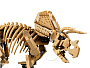 Конструкторы LEGO Jurassic World™ 77985 Окаменелости динозавров: Трицератопс, фото 14