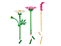 Конструкторы LEGO Botanicals 11514_L Космея, фото 6
