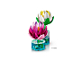 Конструкторы LEGO Botanicals 11511 Водяные лилии, фото 5