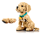 Конструкторы LEGO Icons 11384 Щенок золотистого ретривера, фото 7