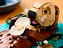 Конструкторы LEGO Ideas 21366 Плавающая выдра, фото 6