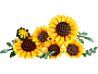 Конструкторы LEGO Icons 11502 Букет подсолнухов, фото 4