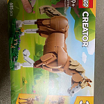 фото от rachaelt63_6181